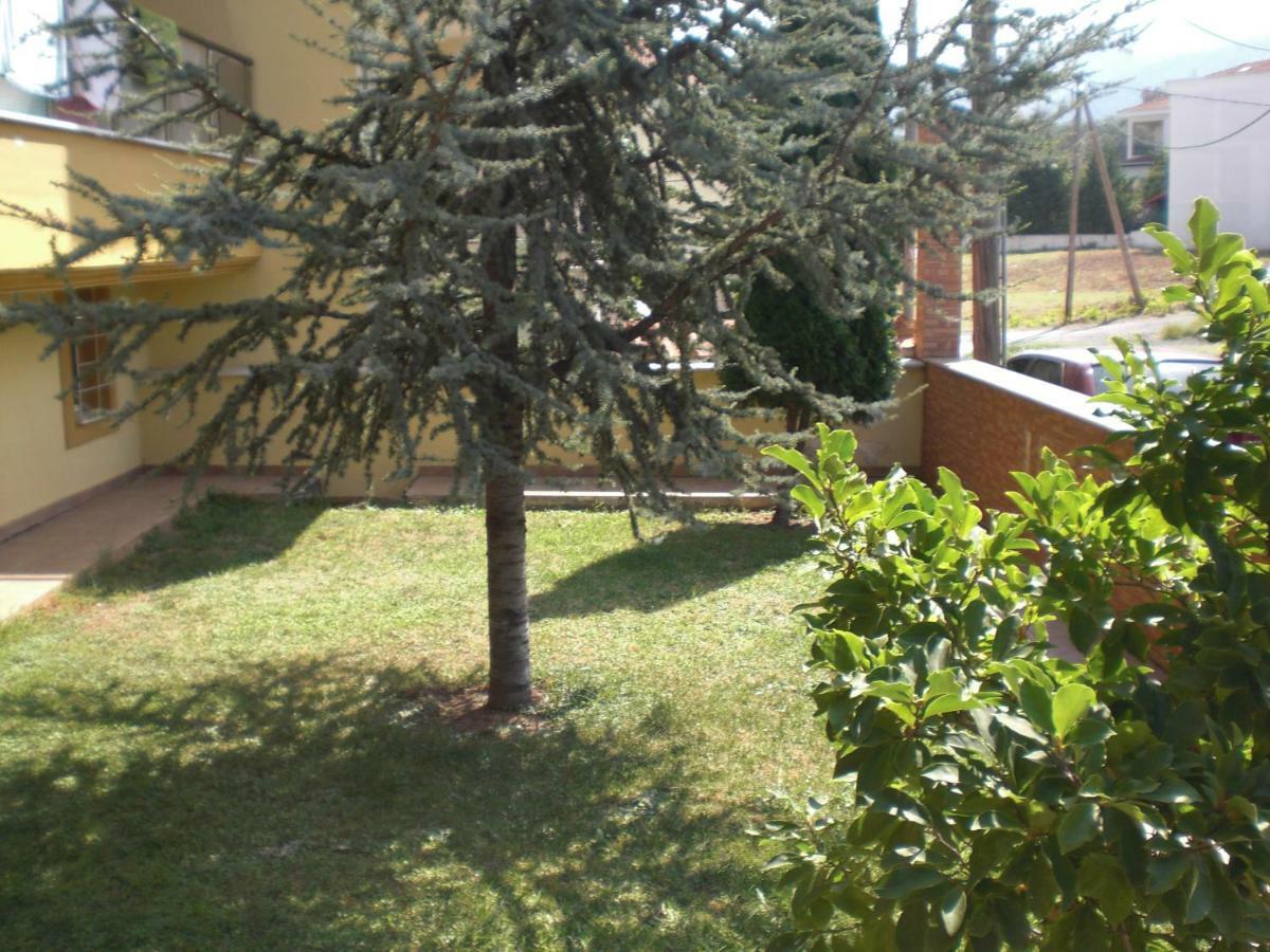 διαμερισμα στο λιτοχωρο με εκπληκτικη θεα * Litochoro